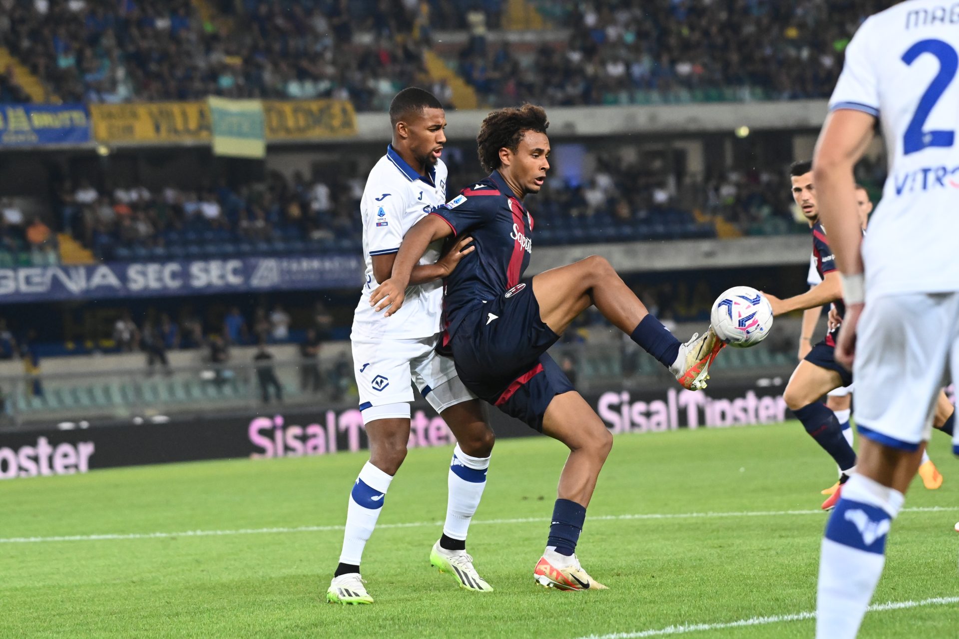 Verona Bologna Highlights Bolognafc